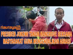KENDALIKAN ABRASI, PRESIDEN JOKO WIDODO TANAM MANGROVE DI PULAU TERDEPAN BENGKALIS